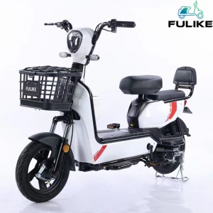 Electric Bicycle South China 2 Wheel Cargo Ebicycle with OEM Service