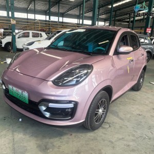 PLML FULIKE Customized Chinese Cheap Electric Cars New 4 Seater EV Energy Vehicles Car For Elderly Made In China