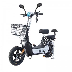 Factory Wholesale Popular Electric Bicycle 2-Seat Mini Bike 500W 48V