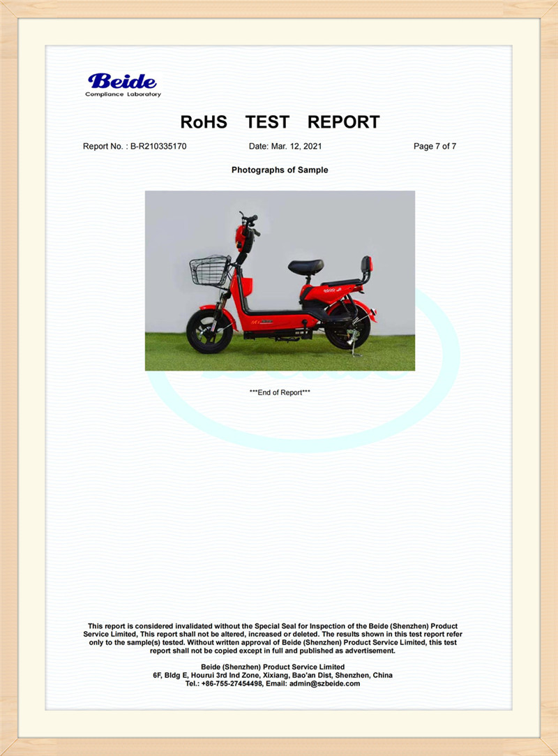 35170 RoHS 2.0 Report Electric scooter_06