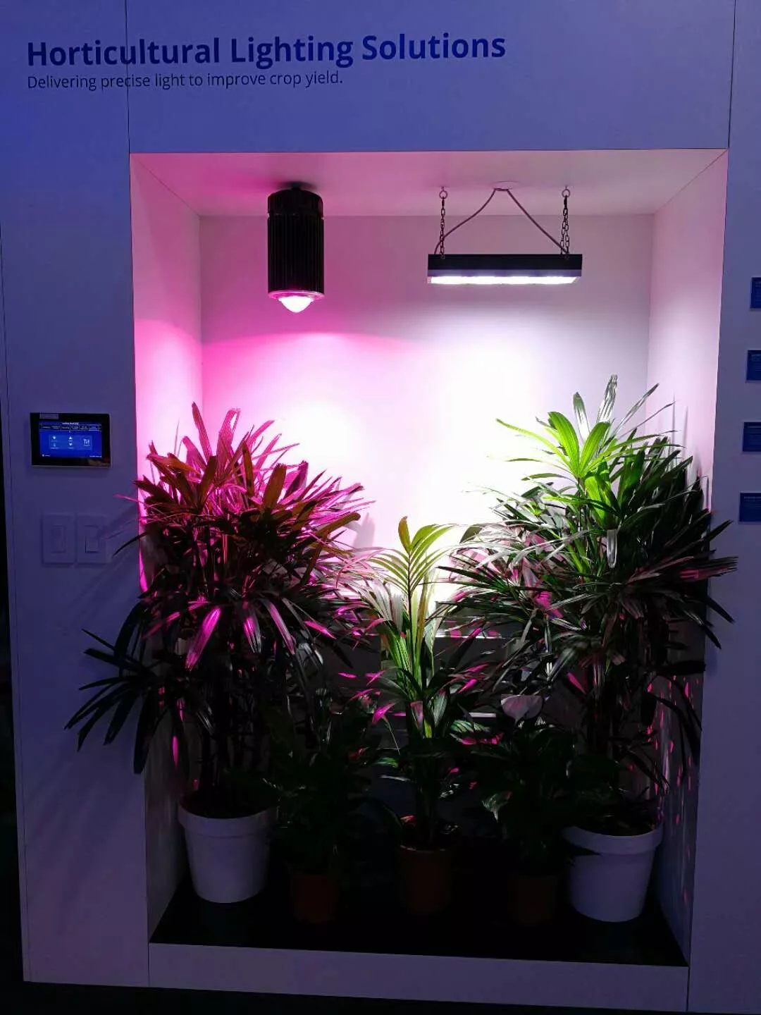 Introduction to LED plant growth lamp