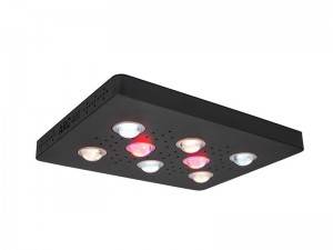 High definition China Induction Grow Lamp LED for Indoor