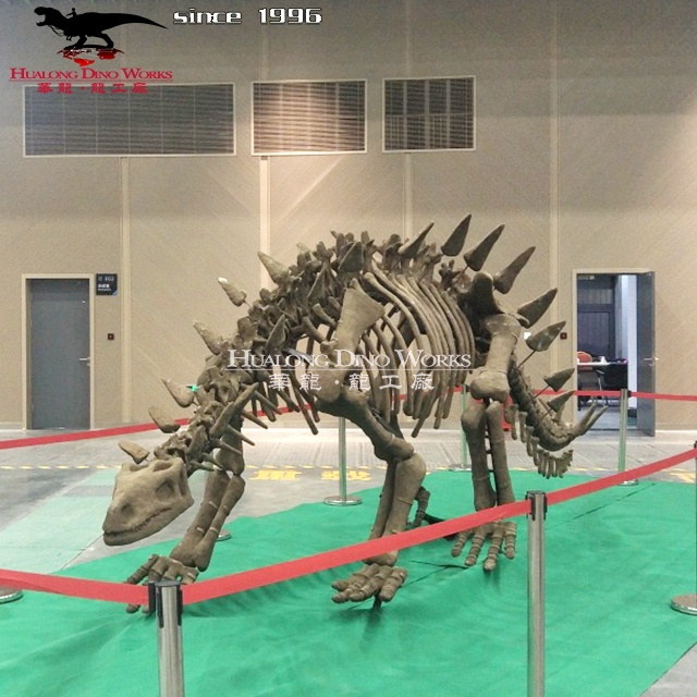 Rangka Dinosaur Gentian Kaca – Replika Fosil Triceratops & Stegosaurus dengan Kemasan Kalis Cuaca untuk Acara Komersial/Taman Bertema/Pameran/Muzium