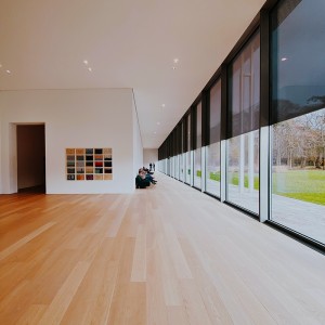 Wpc Floor With Ultra Light, Ultra-Thin, High Hardness, High Strength