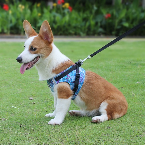 Easy Fit Harness -Step-in Small Dog Harness with Quick Release Buckle – On The Go Harness for Small Dogs or Medium Dog Harness for Indoor and Outdoor Use