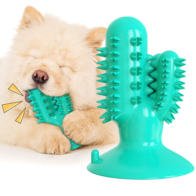 Dog Molar Stick Chewing Toys Manufacturer, Dog Toothbrush Chew Toys Like Cactus with Suction Cup, Dog Tooth Cleaning Stick, Pet Toothbrush, Dental Care for Dogs detail pictures