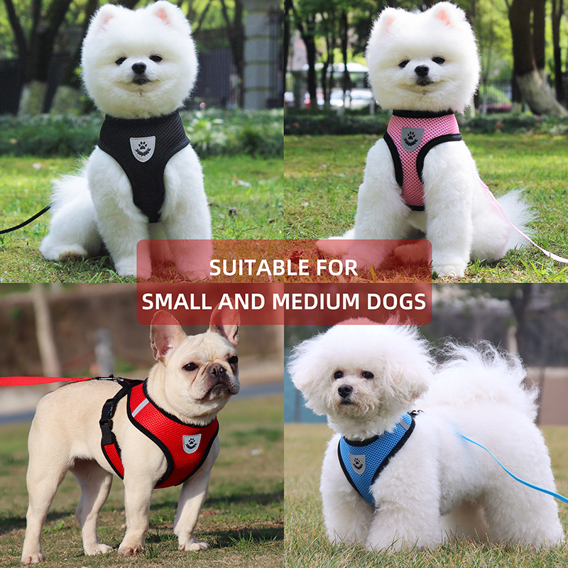 Reasonable price Dog Walking Collars - From Factory Quickly Fitting Dog Harness Vest Adjustable in Good Quality Pet Products Supplier –  JIMIHAI