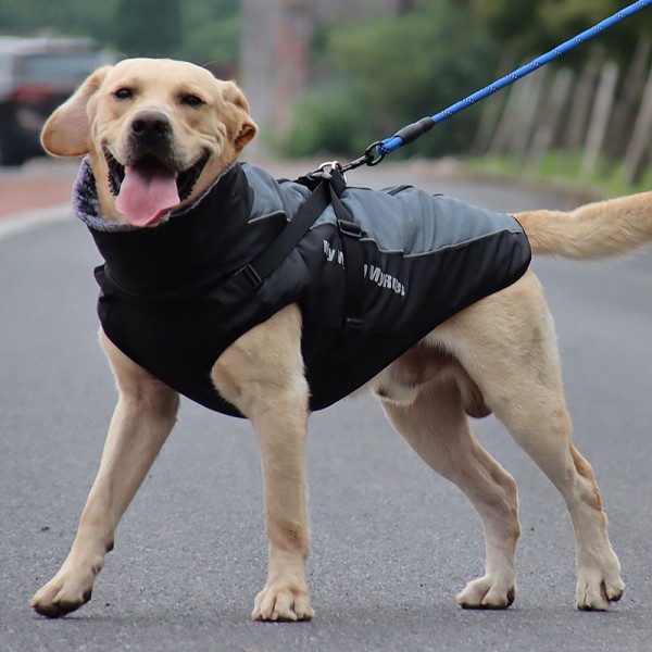 Hot Selling Waterproof Windproof Warm Reflective Fall and Winter Coats, Suitable for Medium to Large Dogs Travel Outdoors