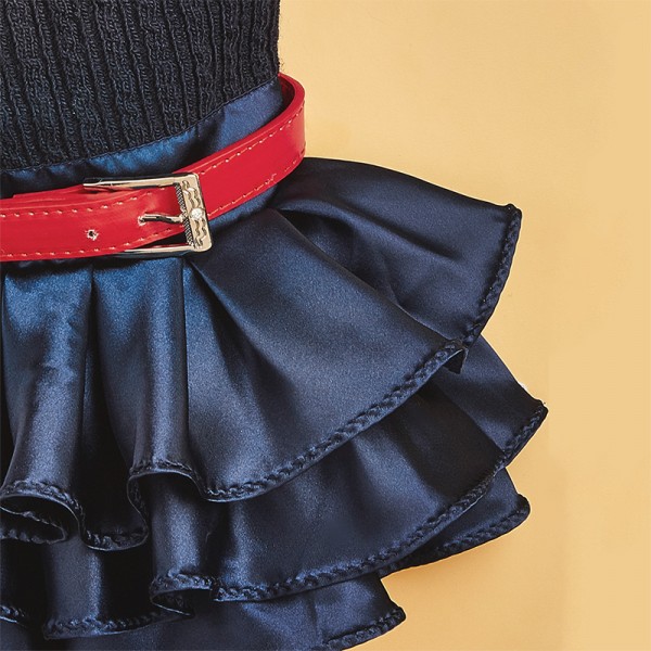 Supply Fashionable Autumn and Winter New Pet Clothing Belt Skirt