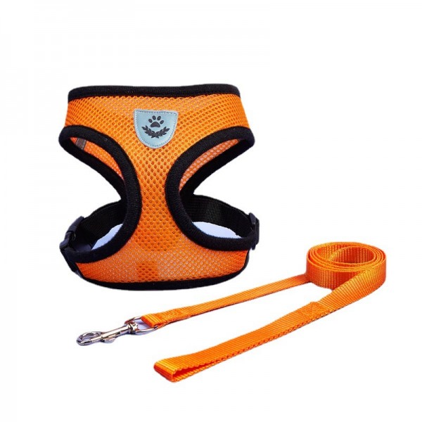 pet apparel manufacturers：What makes a successful dog dog leash manufacturers?