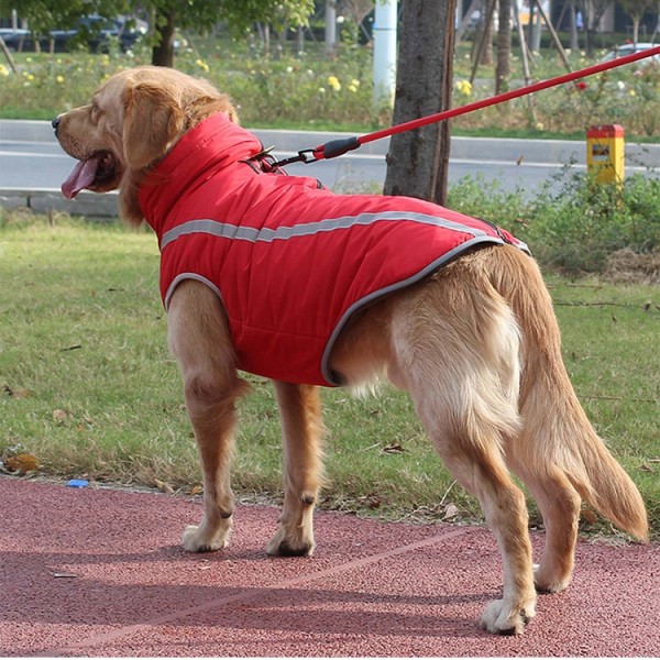 China wholesale Medical Dog Vest Manufacturer –  China Manufacturing Reflective Waterproof Warm Puffy Dog Winter Coats With Harness Hole  –  JIMIHAI