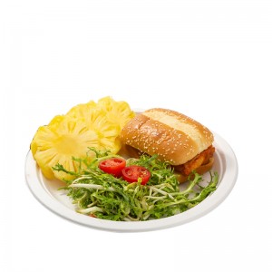 Compostable Dispostable Paper Tray Manufacturers Suppliers - Bagasse Dinner Plate  – Futur
