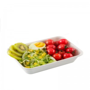 Reasonable price China 100 * 200 Biodegradable Bagasse Food Tray Hotel Catering Restaurant Small Plate Tray