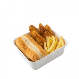 Compostable Take Away Paper Bowl Manufacturers Suppliers - Square Bagasse Bowl  – Futur