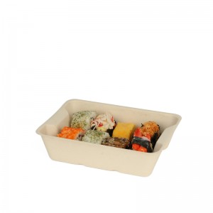 Biodegradable Disposable Bowl Company - Bagasse Food Tray  – Futur