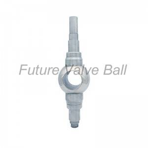 Well-designed Hard Seal Valve Balls - Stem ball QC-S03 – Future Valve