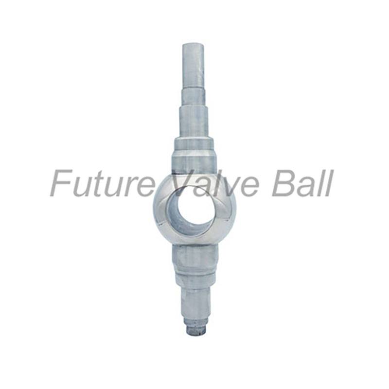 Factory best selling Carbon Steel Ball - Stem ball QC-S03 – Future Valve