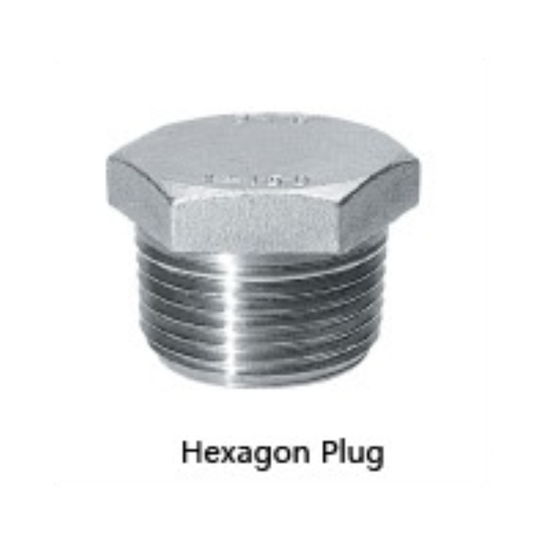 Stainless steel hexagon plug