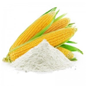 Corn Strach special price at good quality