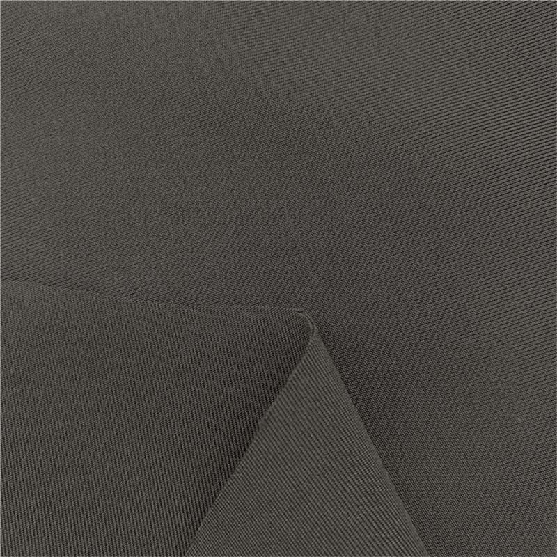 China 2021 China New Design Thick Rib Knit Fabric - Matte