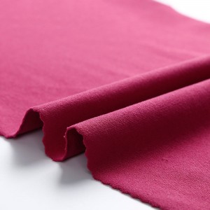 Free sample for Cotton Lycra Jersey Fabric - Cotton-like hand-feel nylon spandex stretch jersey fabric – Huasheng