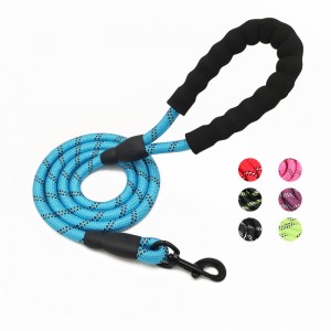 Excellent quality Whistle Light Lanyard - Hot selling Nylon Material Custom Pet Leash for walking – Bison