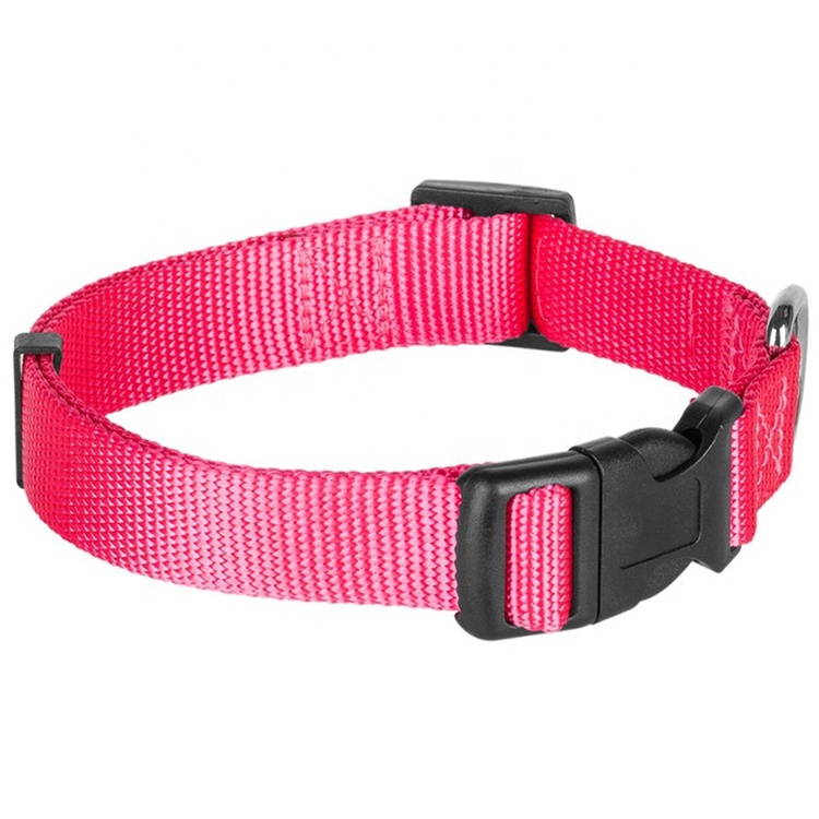 Short Lead Time for Lanyard Attach Clips - Wholesale Custom Logo Dog Training Shock Collar Petsmart – Bison
