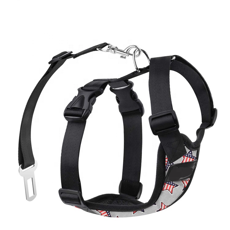 Best Price for Double Lanyard - Retractable Safety Long Dog Leash Heavy Duty Elastic Durable Dog Body Belt Strap Dog Chest Belt – Bison