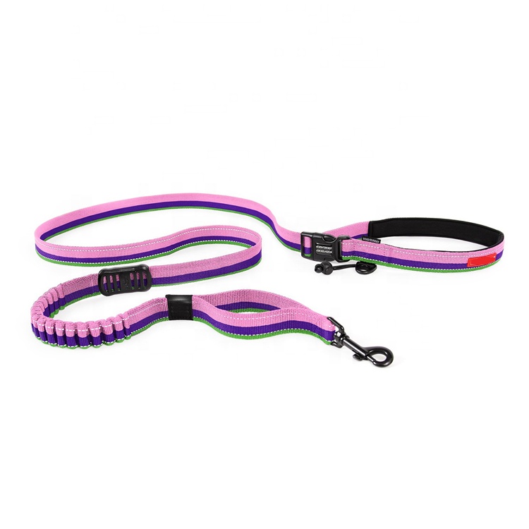 Fast delivery Lanyard Pocket - Retractable Safety Long Adjustable Heavy Duty Elastic Durable Dog Leash Pet Accessories – Bison