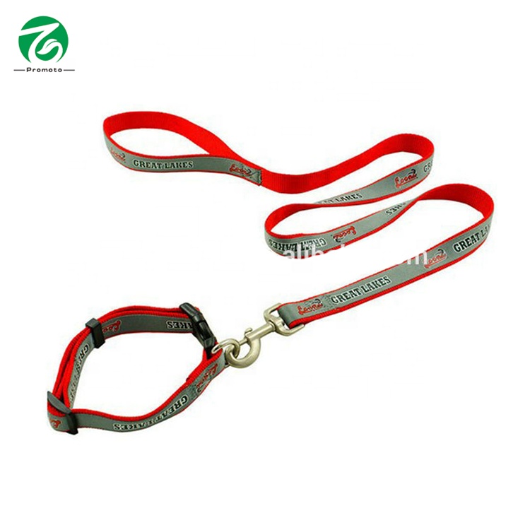 OEM/ODM Supplier Camera Lanyard - 2014 wholesale polyester webbing dog leash/dog lead – Bison