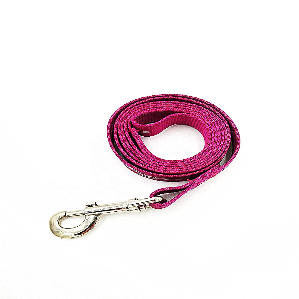 2020 Good Quality Silver Hook Lanyard - Popular Retractable Nylon Dog Leash With Printing Logo – Bison