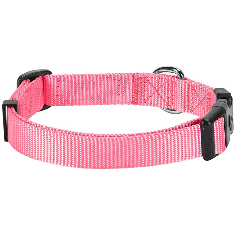 Top Quality Lanyard Accessoires - Dog Cone Tick Cotton Trainer Collar Remote Dog Training Collar – Bison