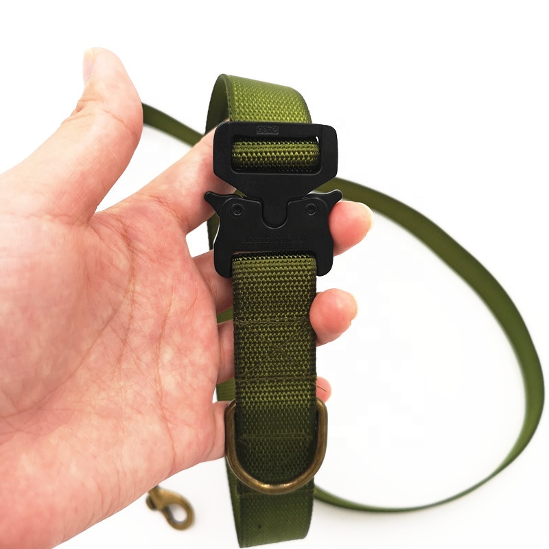 Excellent quality Recycled Lanyard - Sufficient Stock! Durable nylon dog leash – Bison