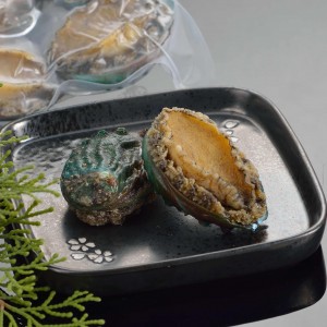 Factory wholesale Drying Abalone - FROZEN BOILED ABALONE with shell and viscera – Captain Jiang