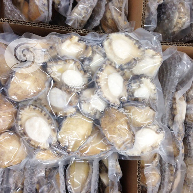 FROZEN ABALONE MEAT (fresh, remove shell and viscera)