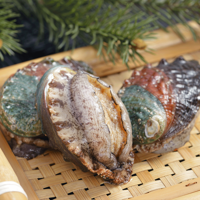 FROZEN ABALONE fresh, with shell and viscera
