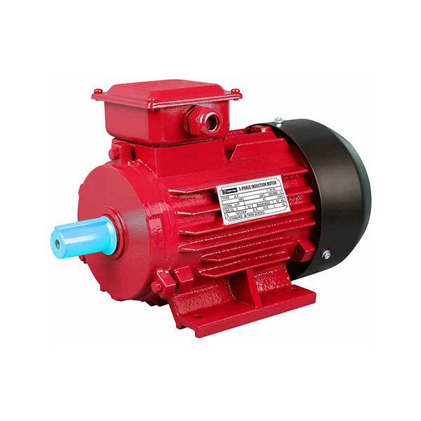 Y2 Series Three Phase Cast Iron Housing IE1 Induction Motor