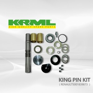 High quality,Best price,king pin kit for RENAULT 873  Ref. Original:   5001839873