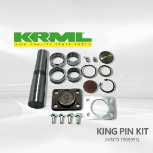 High quality,Manufacturer,king pin kit for IVECO 1908953 Ref. Original: 1908953