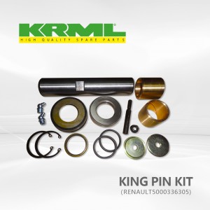 Spare parts,High quality,Best price king pin kit for RENAULT 305 Ref. Original:  5000336305