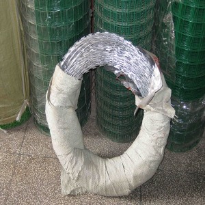 Good User Reputation for Green PVC Coated Welded Wire Mesh - concertina razor wire – HongYue