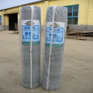 Factory wholesale Garden Hexagonal Wire Mesh - hexagonal mesh fabric – HongYue