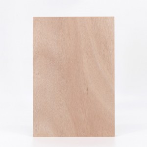 Quoted price for 1220mmx2440mm High Grade Melamine Faced or Laminated Plywood for Furniture and Cabinet