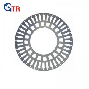 China Manufacturer for Laminated Rotor Core - stator of high voltage motor – Gator