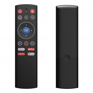 China Wholesale 2.4ghz Wireless Remote Control Factories - 2.4G Voice Remote Controller With IR Function  User Manual – Doty