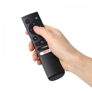 TV Voice Remote