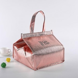 Food Delivery Food Insulation Bag Pearl Cotton Aluminum Foil Outdoor Dining Insulation Bag