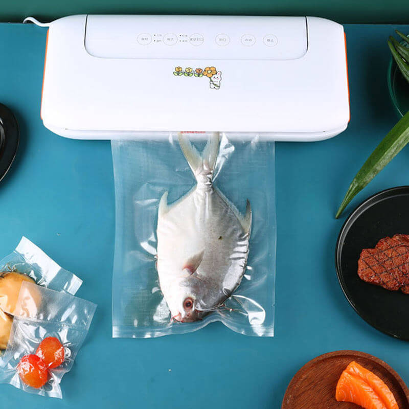 ISO9001 Fish Heat Seal Transparent Nylon Vacuum Bag