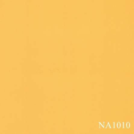 NA1010