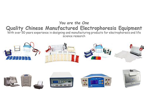 The Top Quality Electrophoresis Equipment Manufacturer From China
